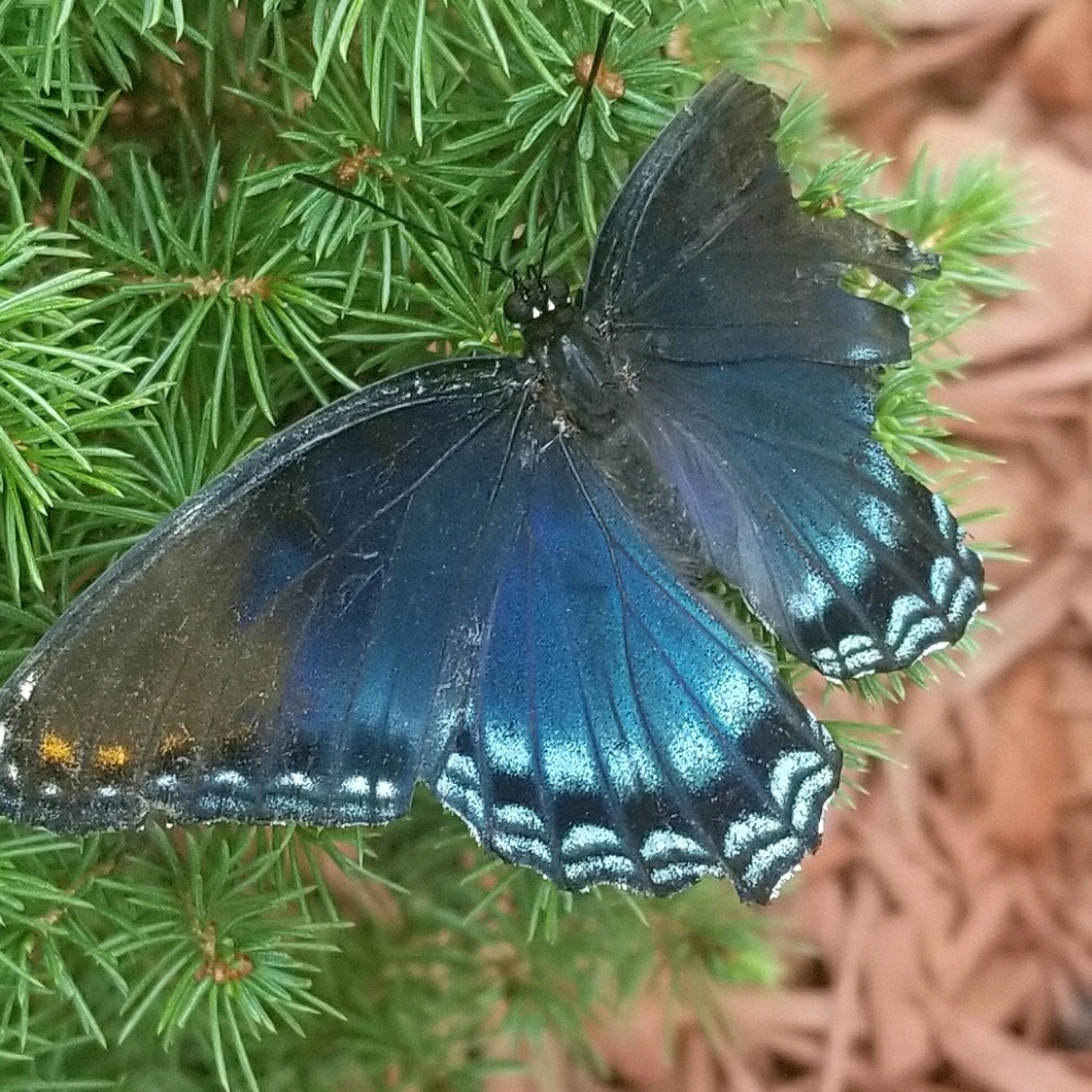 Meet your Posher, Kita